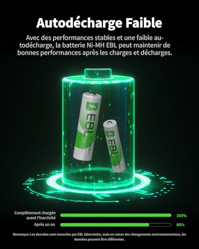 EBL Piles Rechargeables AA/AAA Ni-MH 1.2V 16 Pièces Compatibles Jeux, Jouets, Télécommandes avec 8 AA HR6 et 8 AAA HR03